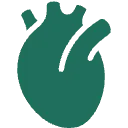 循環器科のアイコン